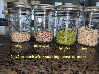 Bean expansion.webp