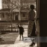 thelovelyneighbour